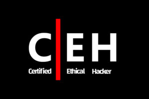 niit ethical-hacking 8